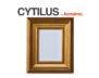 CYTILUS Rahmen gold - Foto 3