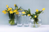 RIOTES Vase transparent - Foto 4