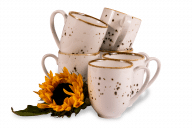 Set von großen Bechern polnisches Porzellan Cottage Cream für 6 Personen