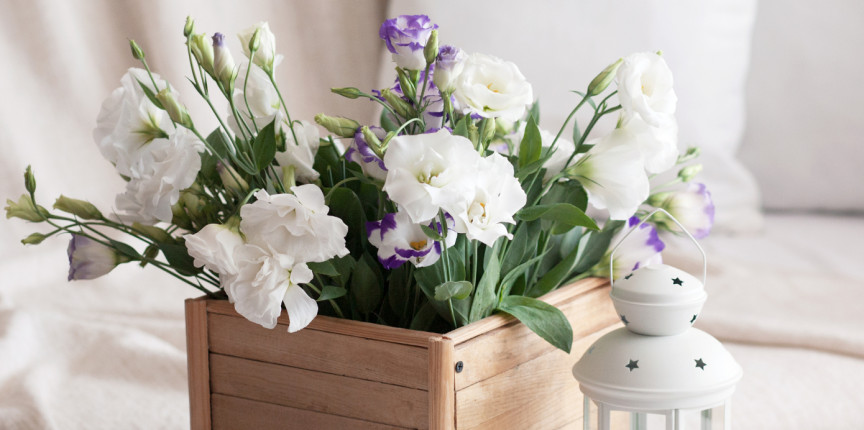 co kupić dziewczynie na święta