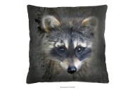 Dekokissen mit Waschbär