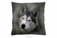 Dekokissen mit Wolf 40x40