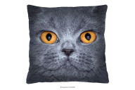 Kissen mit Katzenmotiv