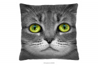 Kissen mit Katze