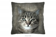 Kissen mit Katze 40x40