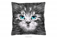 Kissen Foto mit Katze