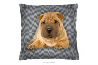 Jugendkissen mit Hund