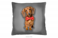 Kissen mit Hund 40x40