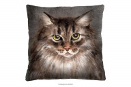Kissen 40x40 mit Katze