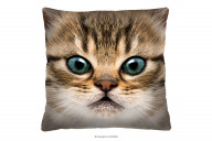 Kissen mit Katzenmuster