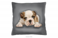 Dekoratives Kissen mit Hund