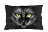 Kissen mit Katze 60x40