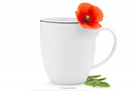 Black Rant Porzellan Becher