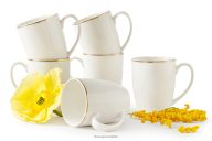 Becher Hartporzellan ecru/gold 6 tlg.