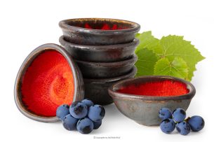 PRIMA, https://konsimo.de/kollektion/prima/ Handglasierte Keramik Dip-Schale 6 Stück rot rot - Foto