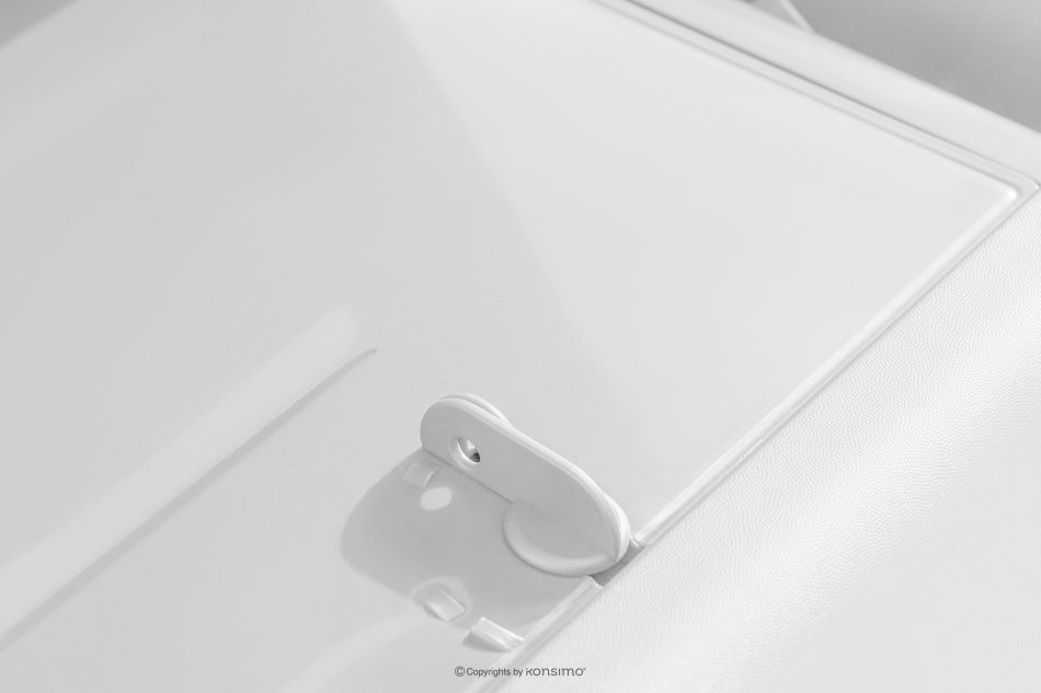 BATSI Gartenliege mit Stauraum und verstellbarer Rückenlehne 2 tlg. weiß weiß - Foto 17